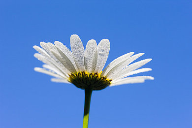 火辣App:霓虹都市,掌上竞速,数据狂飙的街头传说-2