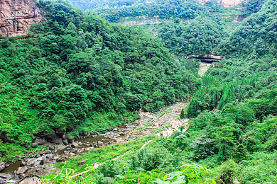 国产成年人片：中国都市竞速新作上线，体验本土速度与夜景交织的激情-3