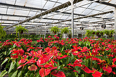 拔萝卜打扑克不盖被子:昼夜双循环策略新游上线,融合农场经营与卡牌生存挑战-2