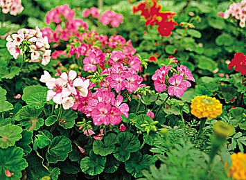 黄色软件网站下载3.0.3免费vivo版大全装扮20：霓虹幻影，街头极速改装与都市夜光的交响诗篇-2