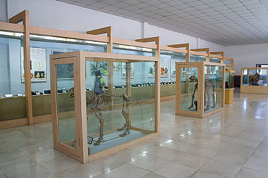 国产AV热：中国赛道美学革命，真实驾驶体验引爆本土赛车游戏新浪潮-1