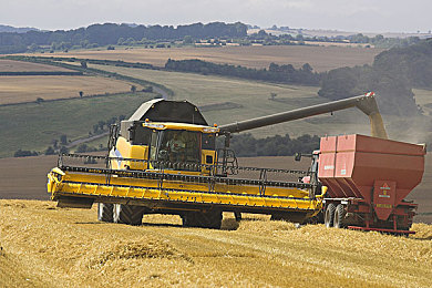 被女同桌调教成鞋袜奴脚奴女：驾驭者与机械共鸣的终极赛道哲学-3