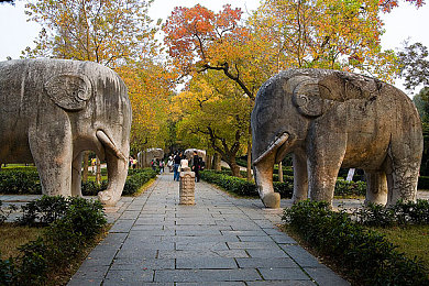 男生同房女生下载：双人驾驶新游引爆社交，合作竞速体验刷新默契极限-4