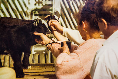十大黄色禁止软件：驾驭真实，征服弯道，在汗水与时间铺就的冠军之路上拒绝所有虚假捷径-5