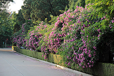 囯产伦精一区二区三区四区：国产竞速新作发布，四重赛道挑战今日开启