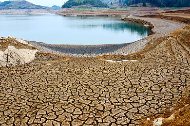 向日葵app站长统计：数据引擎，墨西哥竞速版图上的数字王朝-1