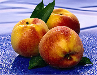 男的女的差差差app：极速差异赛道挑战，打破刻板定义你的驾驶风格-3