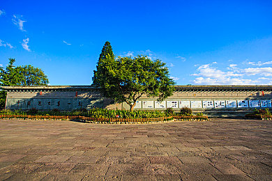 草莓视频app站长统计：数据驱动革新竞速体验，极速狂飙动态优化引领玩家狂潮-4