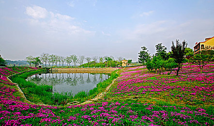 黄色色多多：极速狂飙，色彩能量管理决定胜负新体验-3