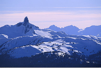 17黑料：极速档案，揭秘赛道暗影的终极竞逐之旅-3