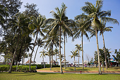 搓搓搓：指尖舞动墨西哥，地平线5漂移艺术全解析-4