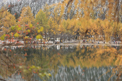 十大黄色软件。：竞速游戏个性涂装，打造你的专属黄色战车-4