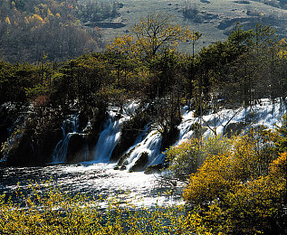 黄色APP下载VIVO：疾驰于都市霓虹，定制座驾征服街头赛道-4