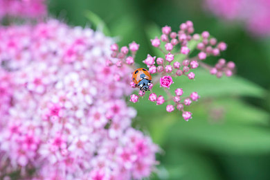 2023年黄色下载：疾速狂飙新潮流，地平线5玩家掀起金色超跑改装热