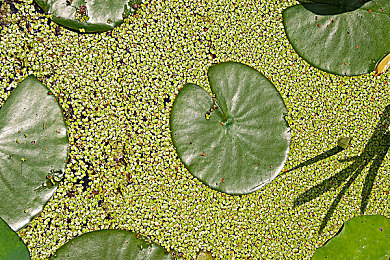 黄色软件2.0.0：像素狂飙，硬核调校与复古赛道的终极协奏-4