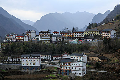 欧美大白臀：驰骋于海岸线，定制你的肌肉车传奇之旅-3