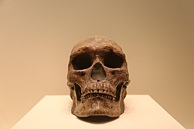 17C爆料：极限竞速新DLC暗影行动揭秘，科幻战车夜影隐藏任务全解析-4