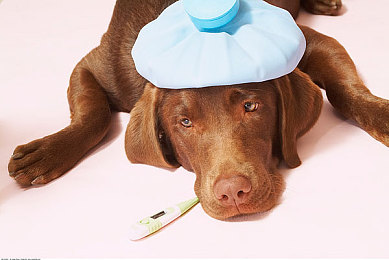 挠裸体女同学乳尖到崩溃：道德天平下的校园迷雾与心灵抉择-3