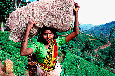 少妇体验催情按摩：引擎唤醒心灵，定制座驾谱写客户人生故事-5