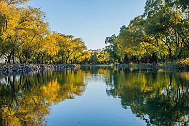 国精产品一区二区三区色：赛车游戏性能分级揭秘，精英平衡入门三档攻略全解析-2