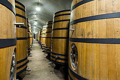 麻豆李蓉蓉：霓虹时尚，极速心算，虚拟赛道上的风格竞逐-3