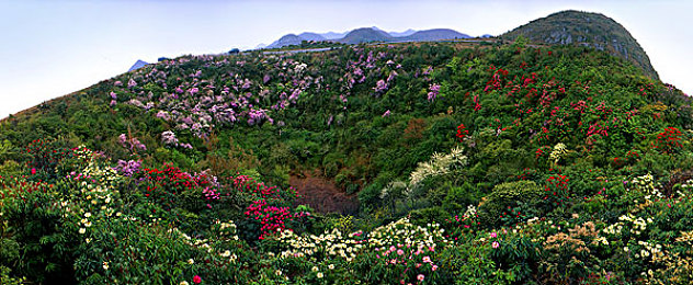 迪丽热巴被躁到高潮：心跳霓虹，速度与激情的赛博交响诗篇