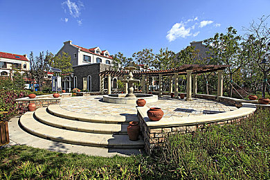 黄色软件下载地址：追逐墨西哥地平线的金色狂飙之旅