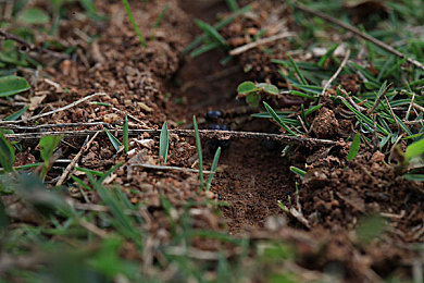 巴厘岛按摩：在墨西哥的落日海岸，体验驾驶的心灵疗愈之旅-3