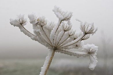 未成年人软件污：开放世界驾驶游戏陷模组争议，第三方内容审核漏洞引家长担忧-4