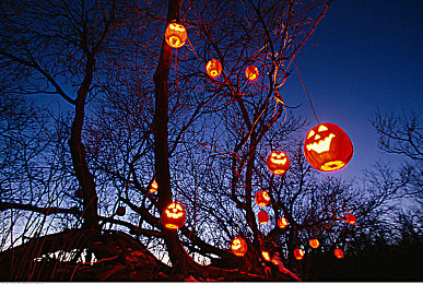 免费的涉黄软件：极速魅影暗藏风险，警惕非官方改装陷阱，守护账号安全