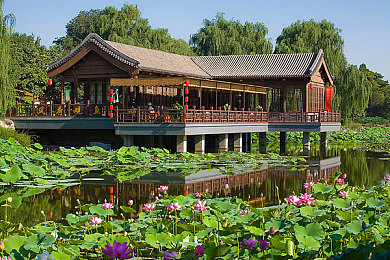 国内A V电影：《极速都市：光影狂飙》今日深度评测，驾驶与拍摄双核心玩法颠覆竞速体验-2