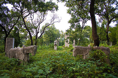 双人摇床打扑克：《公路狂飙搭档对决》今日上线，双人协同竞速引爆策略狂潮-3