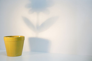 男生女生做亲密动作的软件：虚拟座驾的浪漫，双人驾驶模拟器中的亲密互动艺术-1