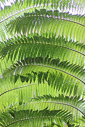 A天堂8：云端极速，虚拟边界，数据流中的第八重天堂-3