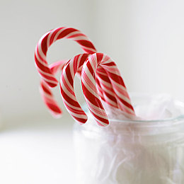 3.0.3免费安装下载：霓虹雨夜，轰鸣进化，街头驾驶新纪元