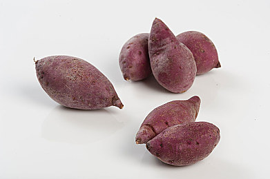 男生女生插插软件：模块化改装革命，创造你的专属性能猛兽-4