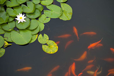 原神女角色失去尊严大全图片高清：提瓦特战策诗篇，女性角色战术美学与实战尊严守护指南-3