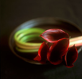 男女app：双人共驭，默契竞速，同心同轨的驾驶之旅-2