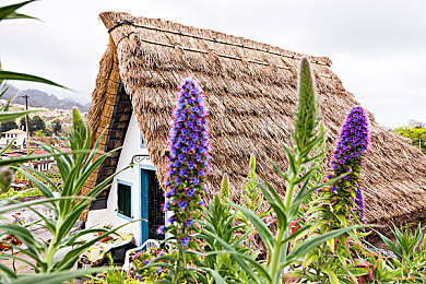 91天美麻豆传媒：极速偶像星途赛道，体验虚拟车手与偶像养成的双重竞速乐趣-4