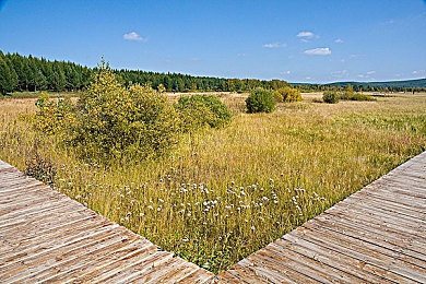 黄色软件下载3.0.3免费OPPO版破解大全苹果:极速狂飙3.0.3正式上线,专业攻略揭秘赛道制胜艺术与设备优化-3