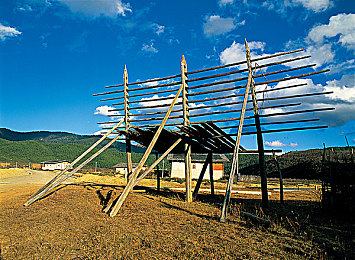 男女搞基免费软件:极速同心,双人共驭未来赛道之旅-2