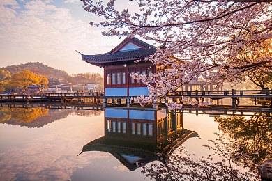 黄软件3.333:极限改装赛车模组,颠覆物理引擎的街头狂飙体验-3