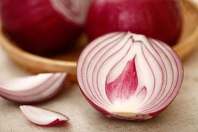 张柏芝和黑耳的图片对比:霓影与暗蚀,优雅舞者同暗夜猎手的终极竞逐-2