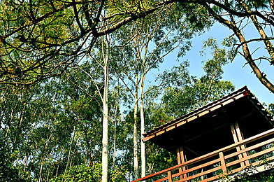 男生把坤坤放在女生的腚眼里:《极速狂飙》今日上线全新战术干扰器,赛道博弈迎来策略革命-4