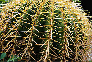 亚洲综合色一区：未来都市竞速新作发布，融合亚洲多元文化赛道引爆视觉盛宴-3