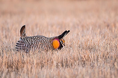 亚洲国产日韩一区:东方速度传奇,征服亚洲顶级赛道与座驾-4