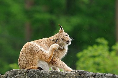 男生把自已的困困放到女生的困困里：双人协作驾驶新游，能源融合共闯废土世界-3