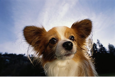 51朝阳群众网cgfun：虚拟都市化身正义车手，全新竞速游戏融合侦探元素今日引爆街头狂飙-2