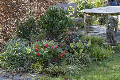 A级网：极限车手都市狂飙，打造你的终极座驾攻略-4