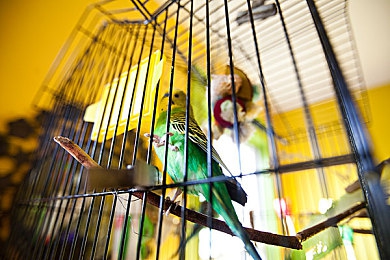 美女与男子搞基app:极速拍档,虚拟竞速中的情感纽带与赛道共鸣-5